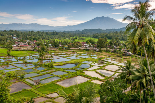 Countryside at Suamtra