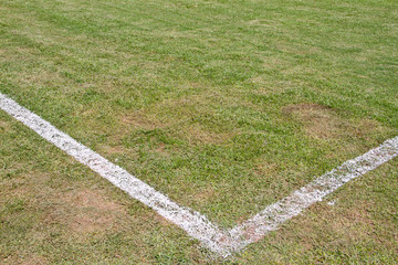 White line on soccer field grass