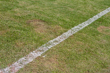 White line on soccer field grass