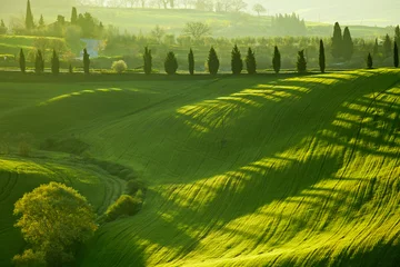 Fotobehang Platteland, San Quirico d& 39 Orcia, Toscane, Italië © ZoomTeam