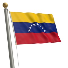 Die Flagge von Venezuela flattert am Fahnenmast