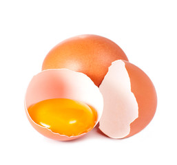 Egg and shell of an egg