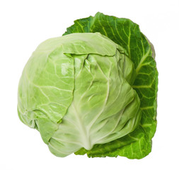 cabbage isolated on white background  