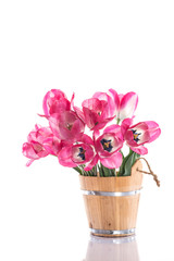 Pink tulips in a wooden bucket