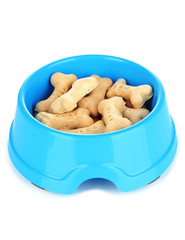 Dry dog treats in bowl isolated on white