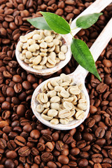 Green and brown coffee beans with leaves