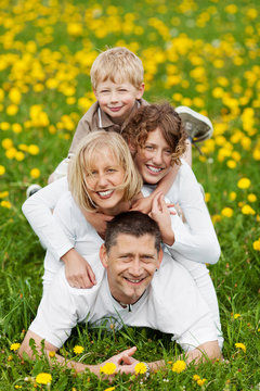 lachende familie auf einer blumenwiese