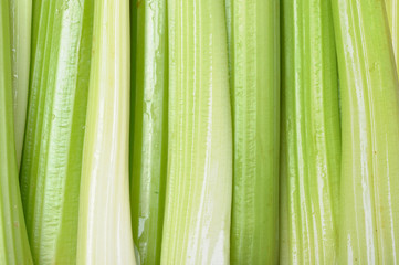 celery as a background - 52327351