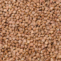 buckwheat background