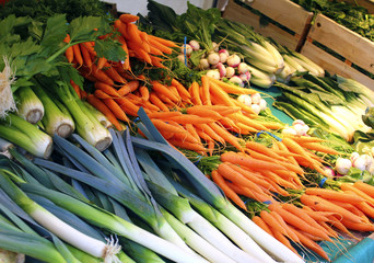 Leek, carrots, chard