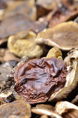 Dried mushrooms