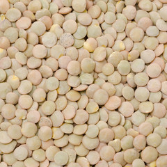 green lentils background