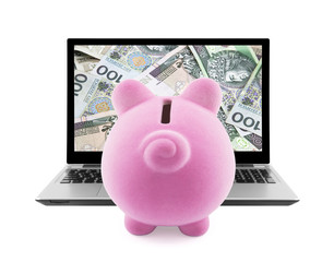 Piggy bank and laptop full of polish money isolated on white