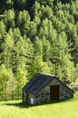 Mountain hut