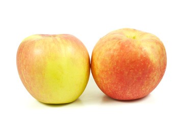 Fototapeta na wymiar Apple fruit