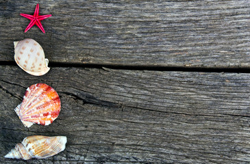 Sea shells frame on vintage old wood