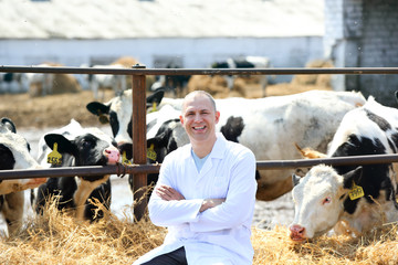 man in a white coat on the cow farm