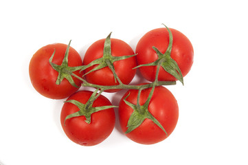 branch of tomatoes on the isolated background