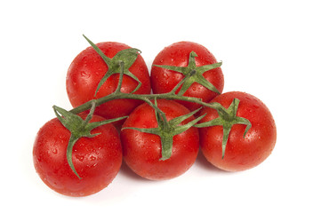 branch of tomatoes on the isolated background
