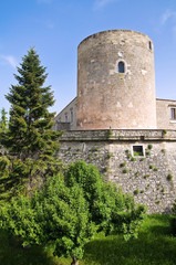 Fototapeta na wymiar Castle of Venosa. Basilicata. Italy.