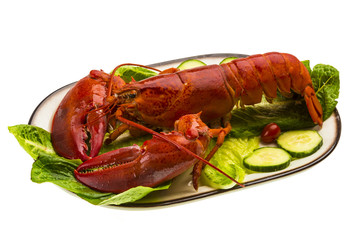 Large Lobster
