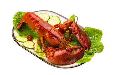 Large Lobster