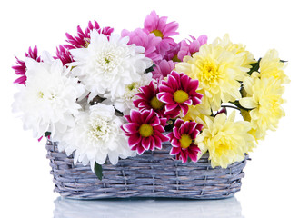 Bouquet of beautiful chrysanthemums in wicker basket isolated