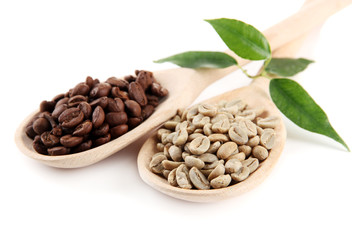 Green  and brown coffee beans in wooden spoons and leaves