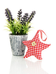Soft toy shape of star with lavender isolated on white