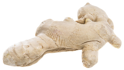 Fresh Ginger on white