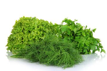 Useful herbs isolated on white