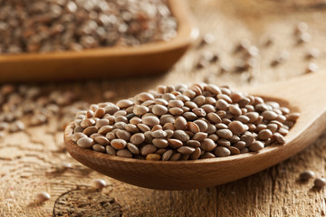Dry Organic Brown Lentils