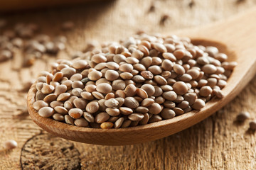 Dry Organic Brown Lentils