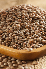 Dry Organic Brown Lentils
