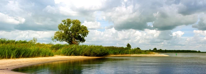 an der Elbe bei Blekede © Gabriele Rohde