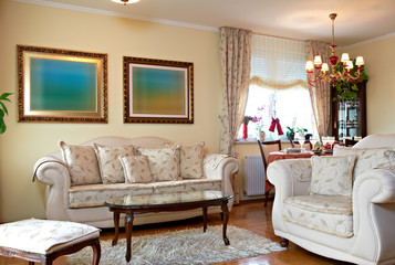 Modern home living room