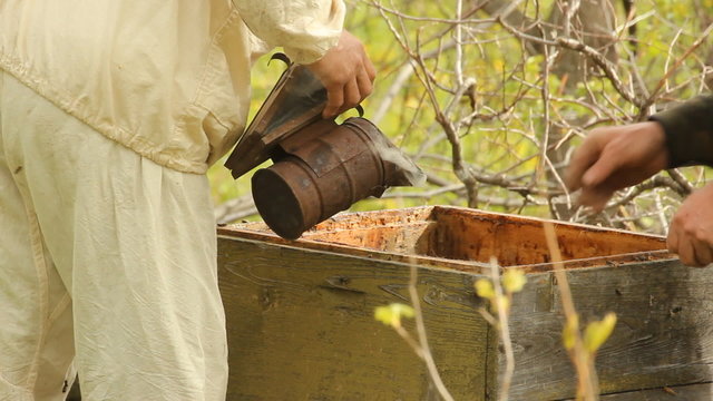 The apiary. Beekeeper with smoker