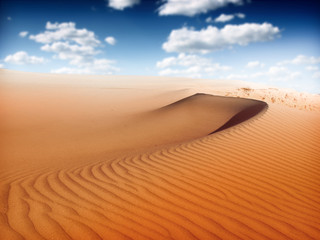 Fototapeta na wymiar krajobraz pustynny piasek
