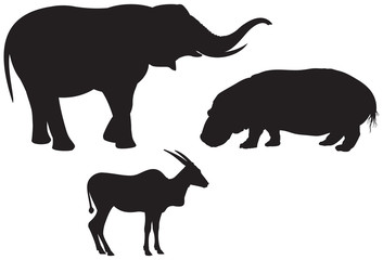 African animals