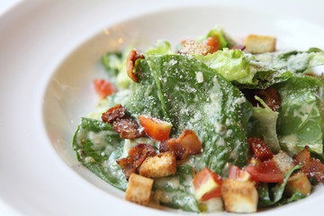 Caesar salad in close up