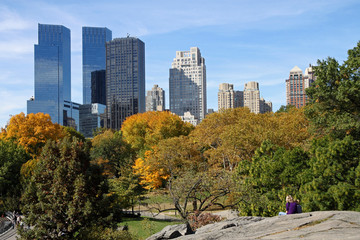 New York skyline and Central Park - obrazy, fototapety, plakaty