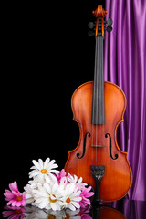 Classical violin on curtain background
