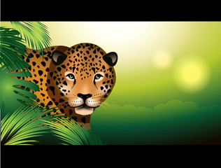 Jaguar in the rainforest