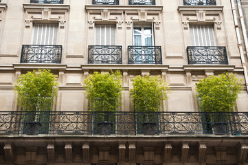 Immeuble avec balcons de bambous