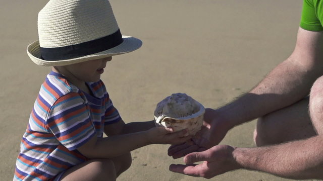 Father and son with beautiful seashell on the beach