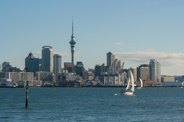Obraz premium Auckland cityscape