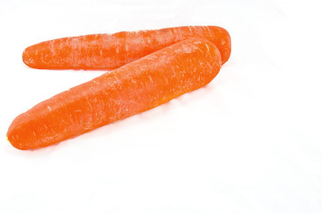 Carrot