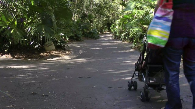 young mother walking with baby in stroller
