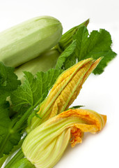 Flowers, leaves and vegetable marrow fruits isolated