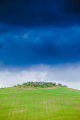 Fototapeta premium Tuscany